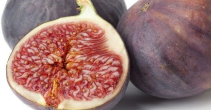 8 a 2 al KROPOS: AVANTI TUTTA!!!